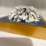 Wedgewood Blue Giant Dahlia