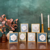 Bare Clothed: Seafoam and White