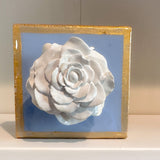 French Blue and White Rose