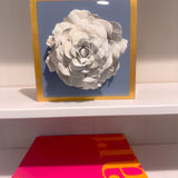French Blue Giant Rose