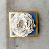 Wedgewood Blue Rose