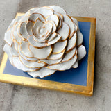 Wedgewood Blue Rose