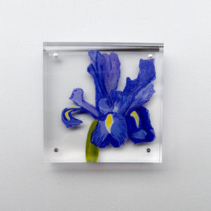 Mini Iris Acrylic Painting