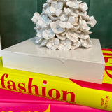 White Hydrangea