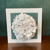 Green Hydrangea
