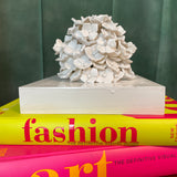 White Hydrangea