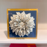 Wedgewood Blue Giant Dahlia
