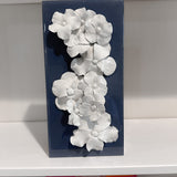 Arkansas Apple Blossom