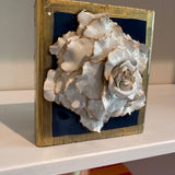Wedgewood Special Rose