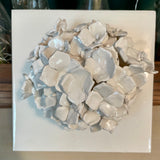 White Hydrangea