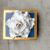 Wedgewood Special Rose