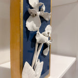 Iris Flowers