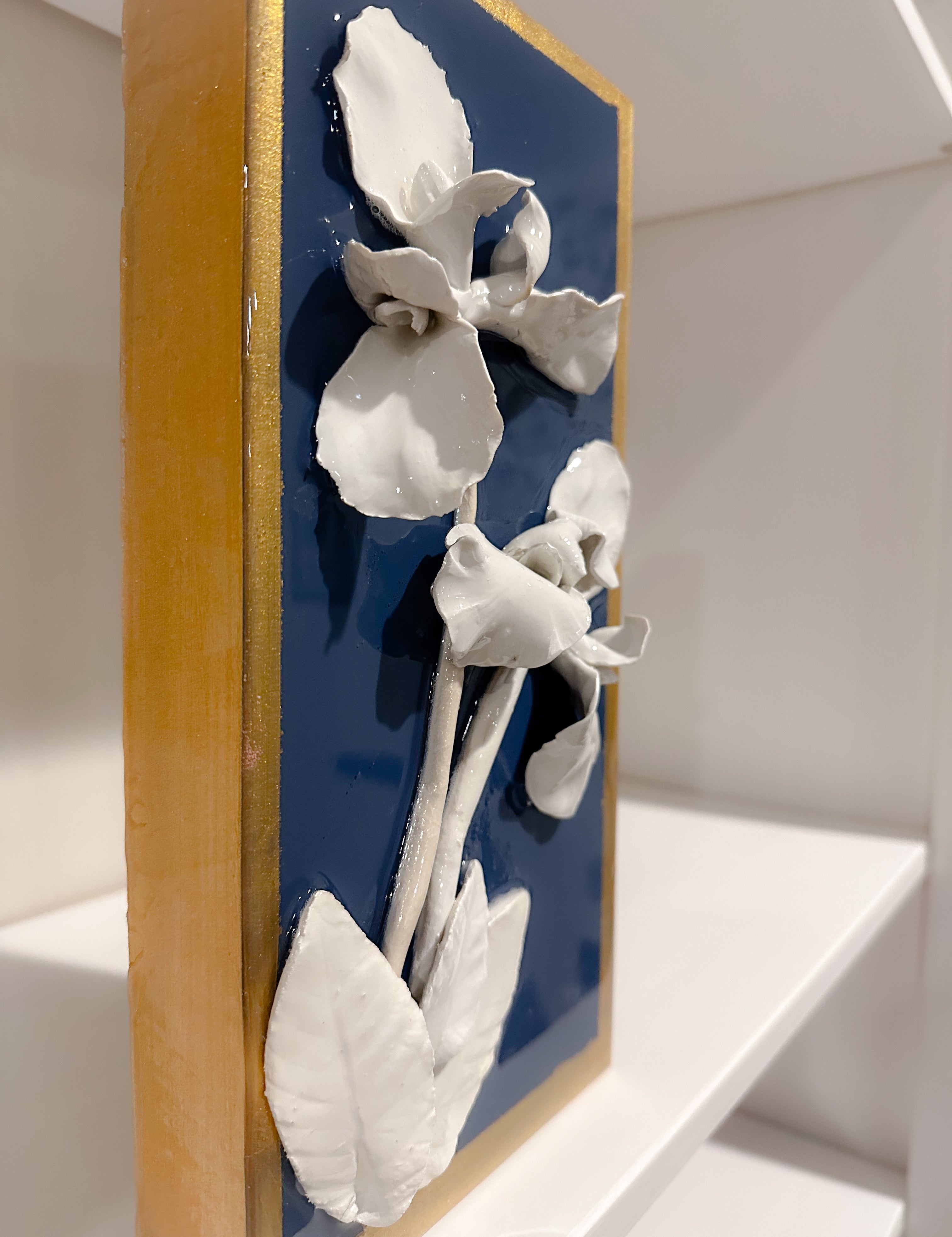 Iris Flowers