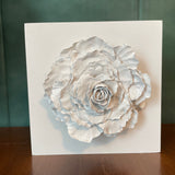 Giant Peony 2