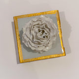 Sea Salt Special Rose