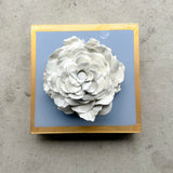 French Blue Giant Rose