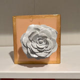 Coral Rose