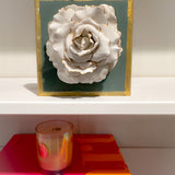 Muted Green Special Rose