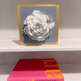 French Blue Giant Rose