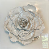 Giant Peony 2