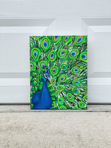 Peacock