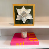 Magnolia Flower in Olive